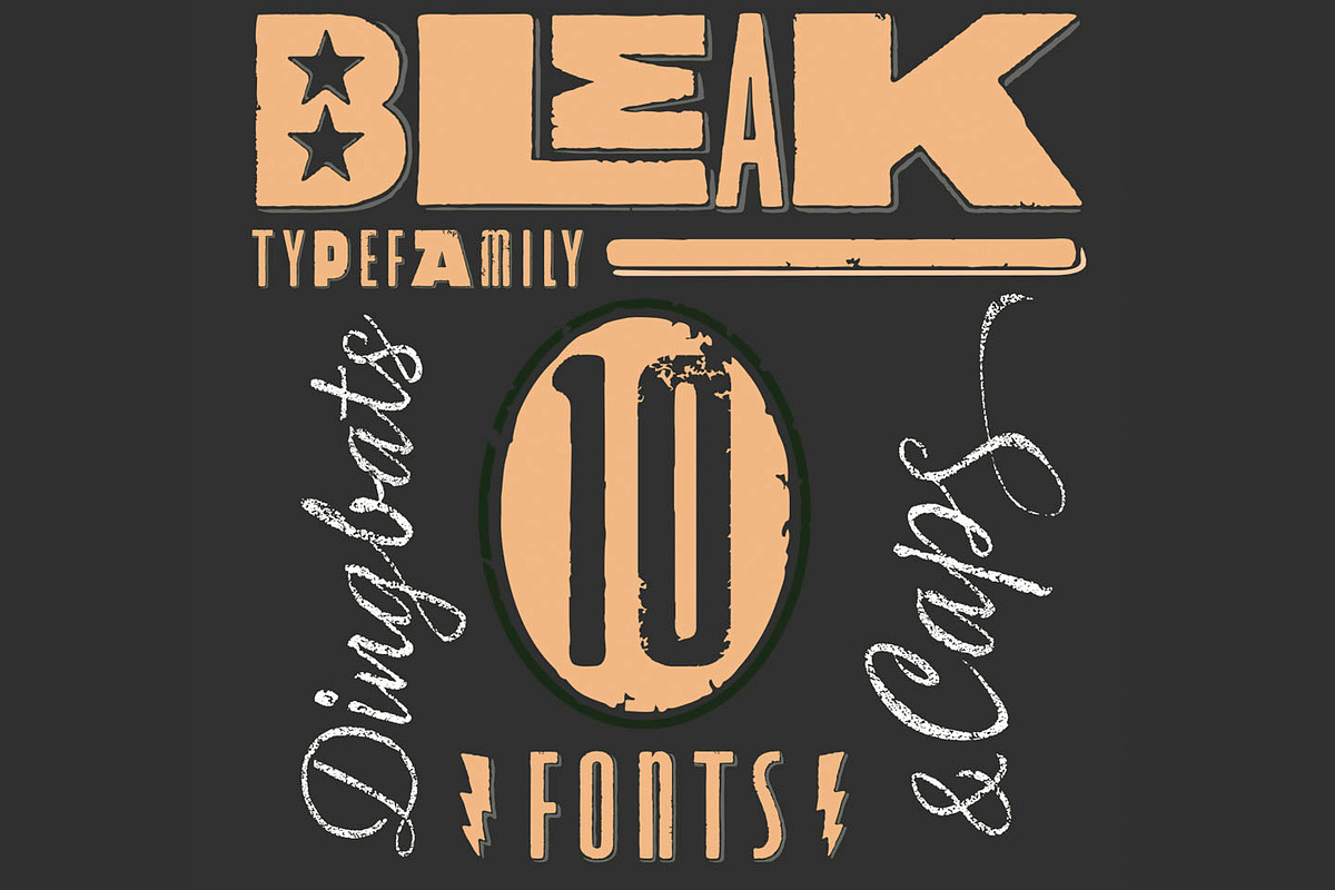 Bleak Type Family / 10 Fonts preview 3