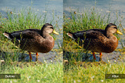 Nature Preset Pack 4, a Preset Add-On by MadeRed (Thumbnail 9 of 11)