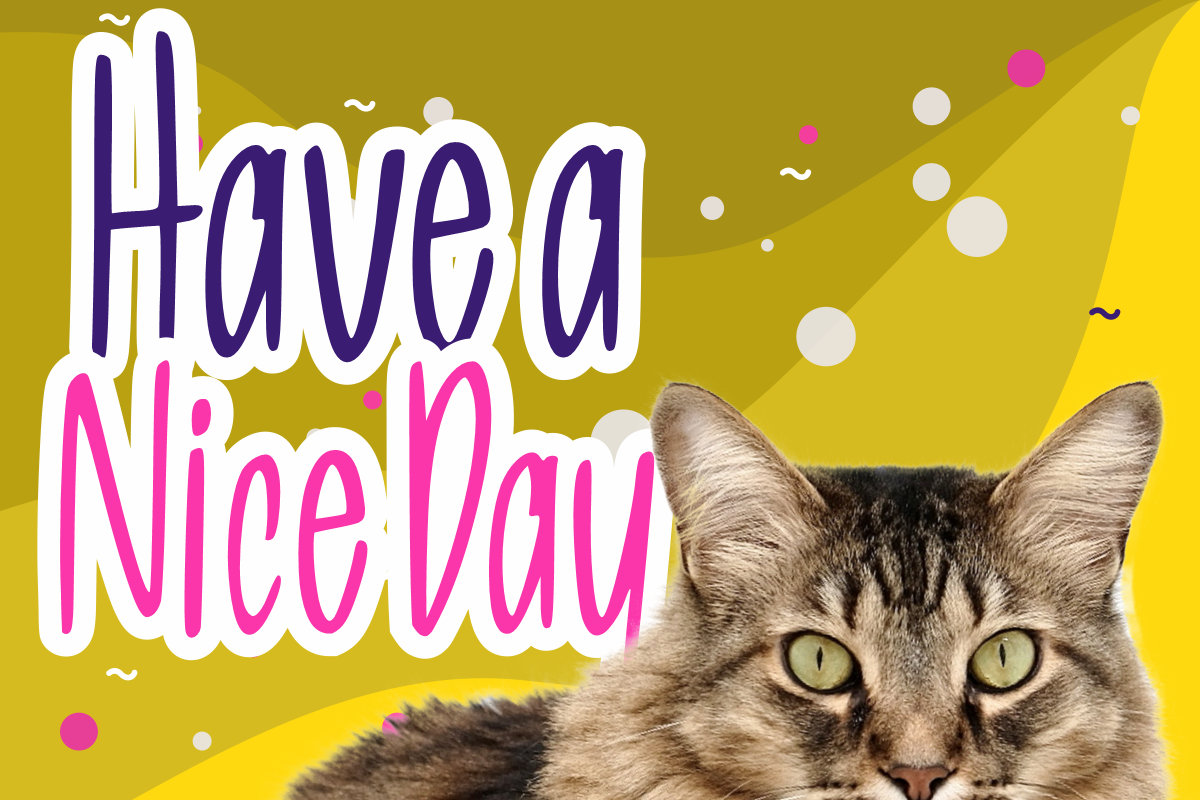 Allea Sweet Display Handwritten, a Font by Glyphstyle (Photo 2 of 10)