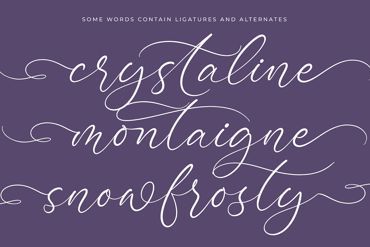 Bottonia Scottella Calligraphy Font, a Script Font by stylishtype.co (Photo 14 of 20)