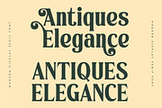 Mystical Timeless Modern Vintage, a Serif Font by Letterena Studios (Thumbnail 11 of 15)