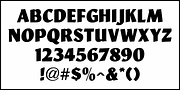 Big Display Sans JNL, a Sans Serif Font by Jeff Levine Fonts (Thumbnail 3 of 5)