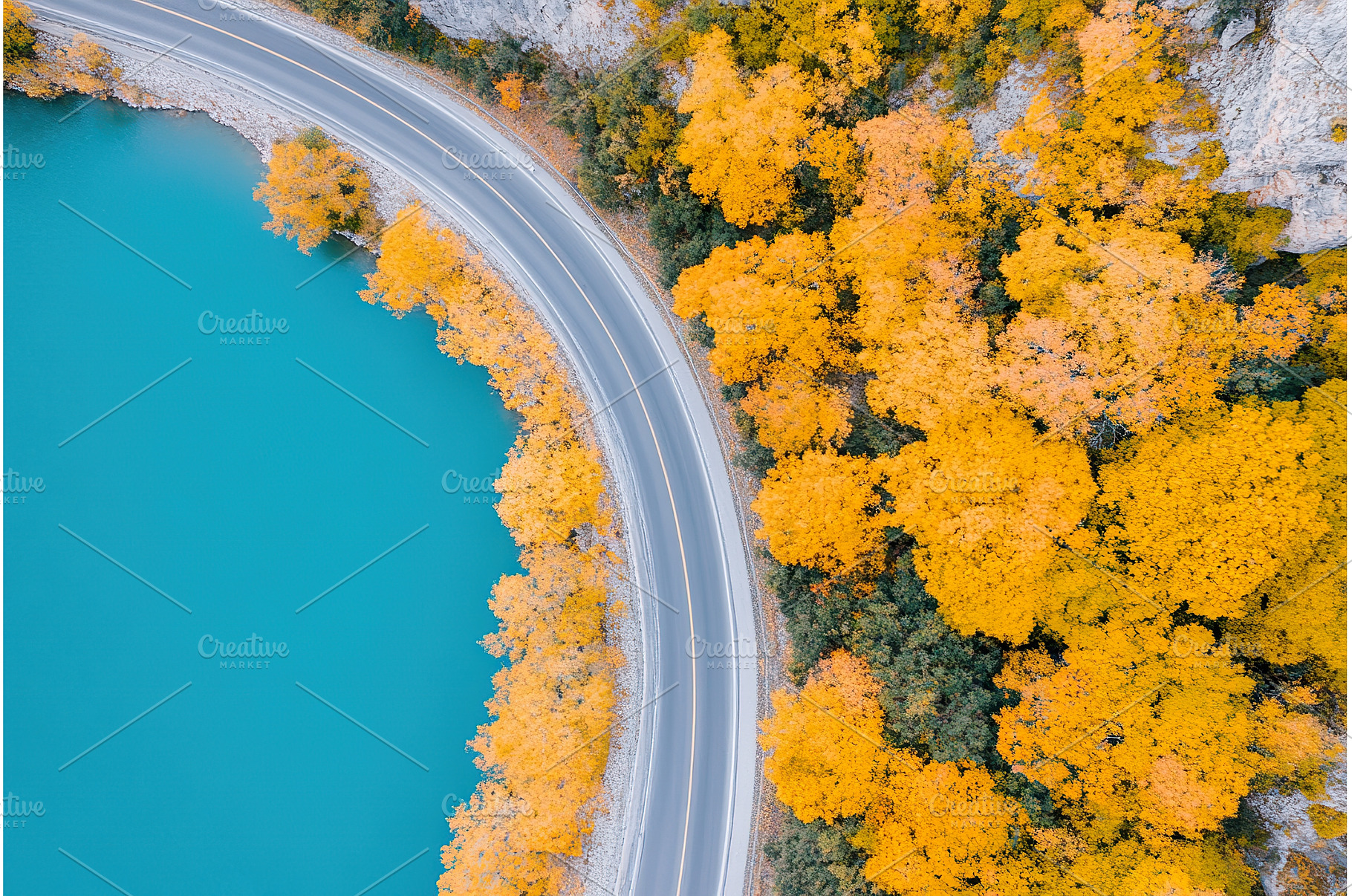 Winding road curves beside river, an Animal Photo by Lermont51