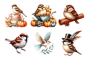 Autumn Sparrows Bird Clipart, an Illustration by Daily.Designs (Thumbnail 2 of 5)