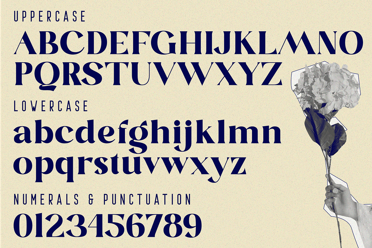 Blastula Font, a Serif Font by 177Studio (Photo 7 of 7)