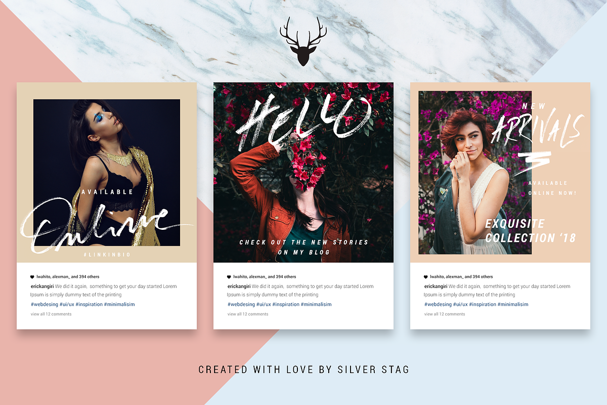 Rose Gold ANIMATED Instagram Posts, a Social Media Template by SilverStag Type Foundry (Photo 13 of 15)