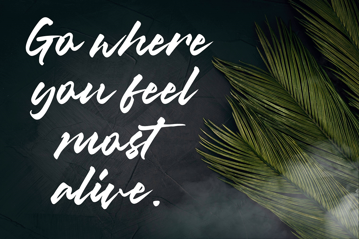 Misty Black - Stylish Script Font, a Script Font by Balpirick Studio (Photo 5 of 7)