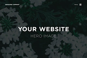 Dark Flowers - Stock Photos, a Nature Photo by outlinez (Thumbnail 3 of 8)