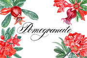 Pomegranate, an Illustration by Watercolor life (Thumbnail 1 of 6)