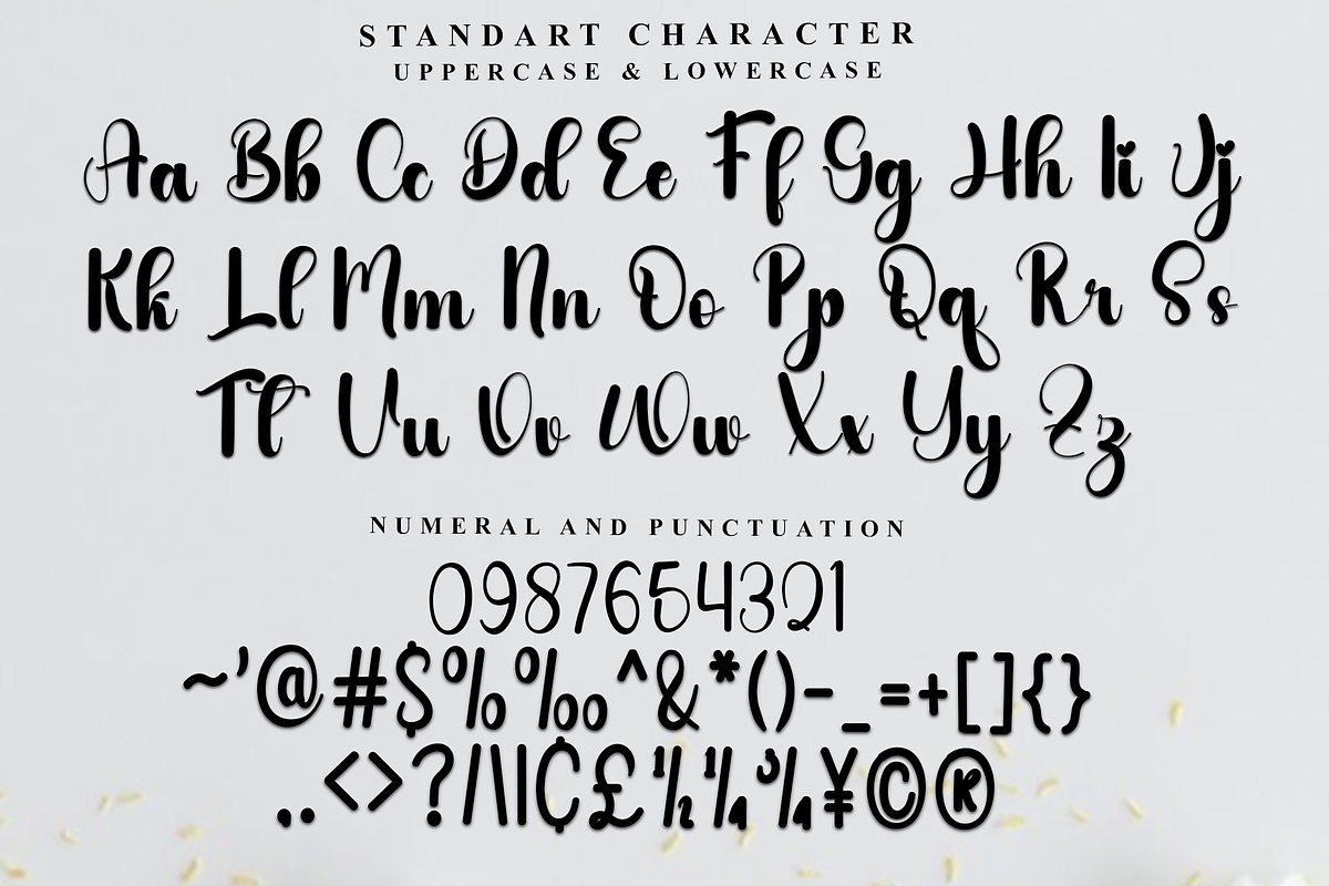 Home Designer, a Handwritten Font by FreshTypeINK (Photo 4 of 7)