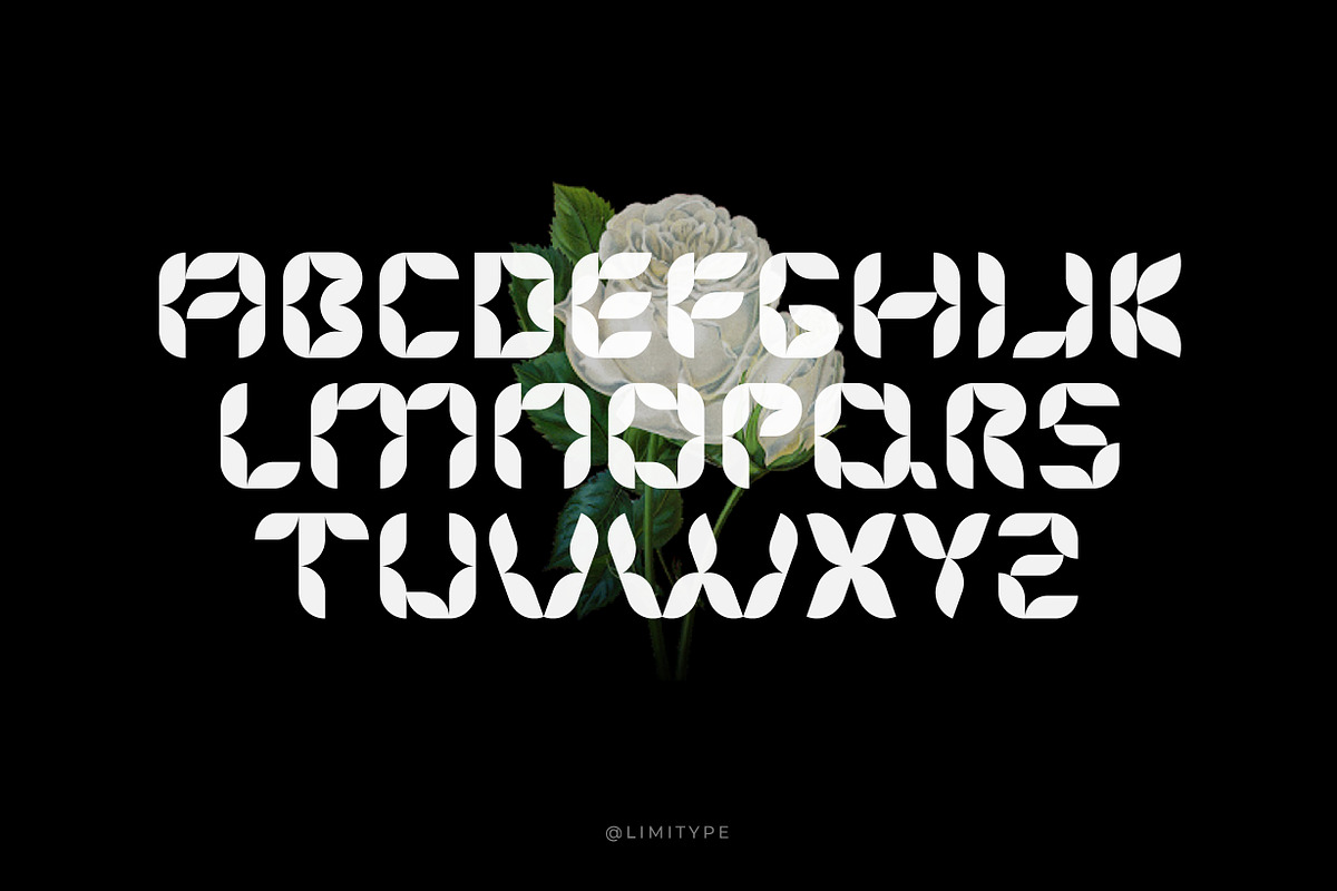 Florisa - Flowers font, a Font by limitype (Photo 4 of 8)