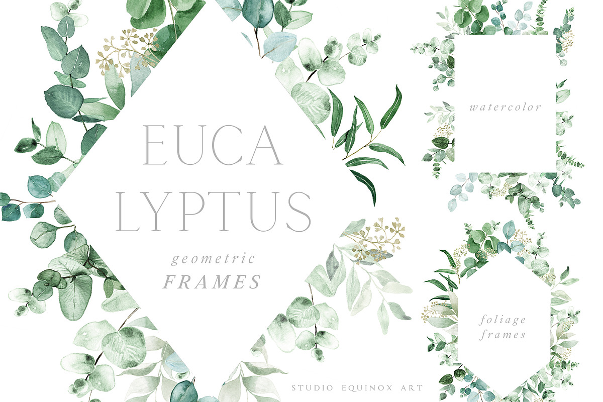 Scent of Eucalyptus - Graphic Set, an Illustration by studioequinox (Photo 16 of 21)