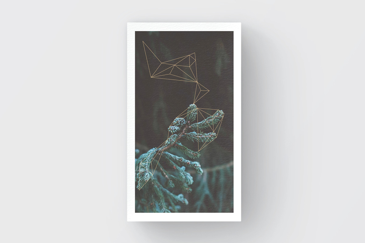 GEOLUNA1 Business Card Template, a Business Card Template by TheOutcrop (Photo 2 of 6)