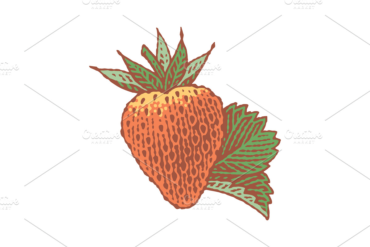 Strawberry and Orange, a Food Illustration by Irina Trusova (Photo 4 of 5)