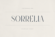 Sorrelia – Elegant Display Serif, a Serif Font by Only Fonts (Thumbnail 1 of 11)