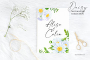 Watercolor Daisy flower clipart 20, an Object Graphic by KarinkaBU (Thumbnail 2 of 5)