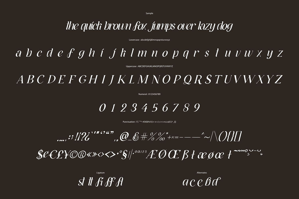 Ballyane - Italic Display Font, a Serif Font by VUNIRA (Photo 3 of 6)