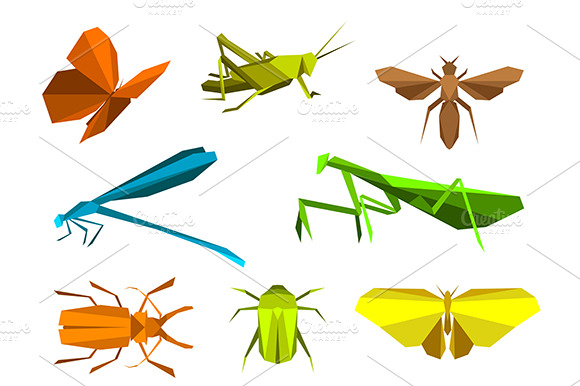 Insects In Origami Paper Elements