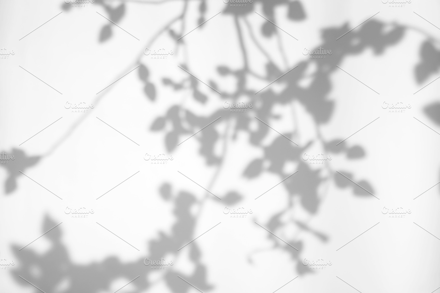 Leaves natural shadow overlay, an Abstract Photo by Nuchylee Photo