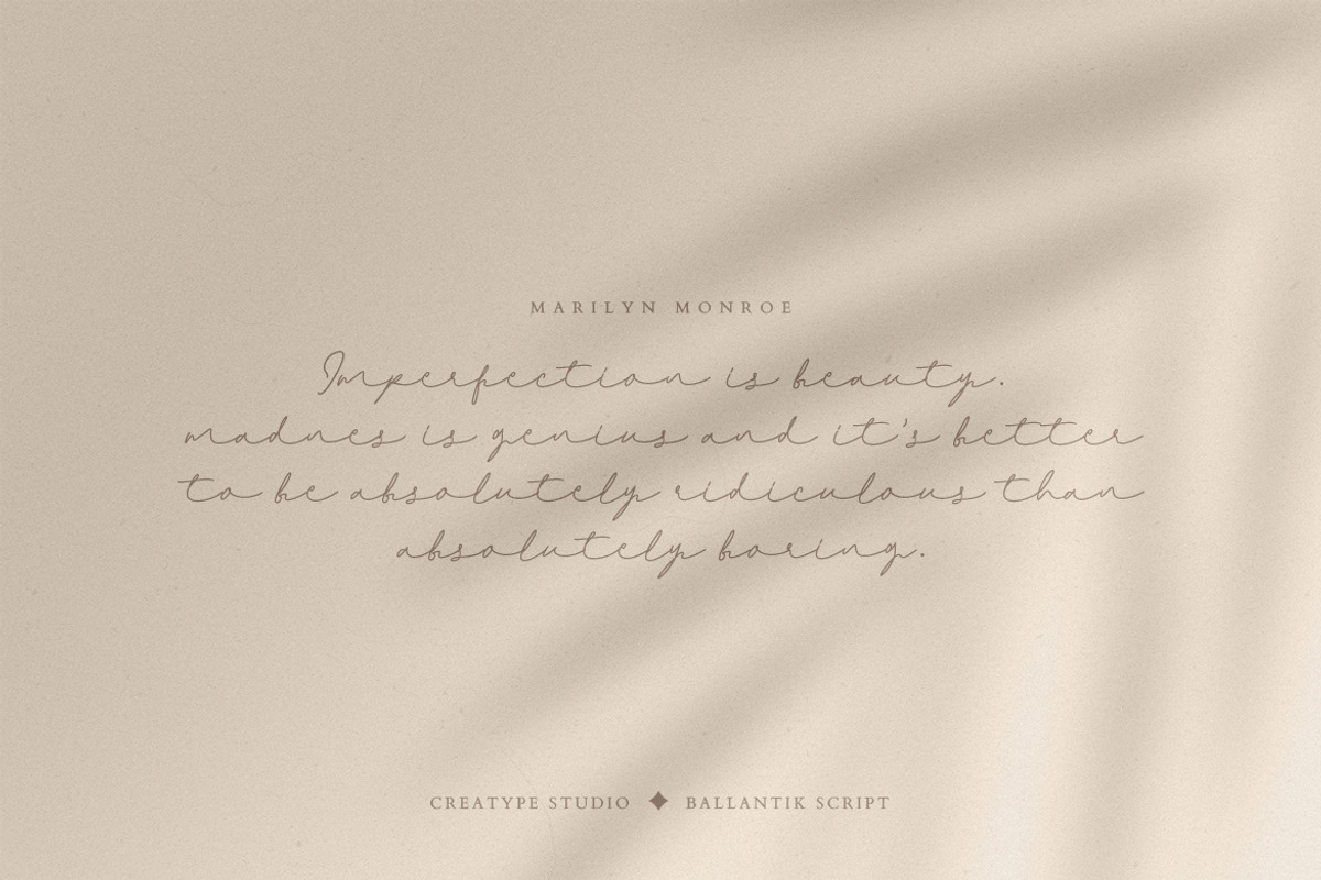 Ballantik Modern Monoline Script, a Script Font by Creatype Studio (Photo 2 of 9)