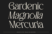 CS Giova – Art Nouveau Font, a Serif Font by Craft Supply Co. (Thumbnail 5 of 8)