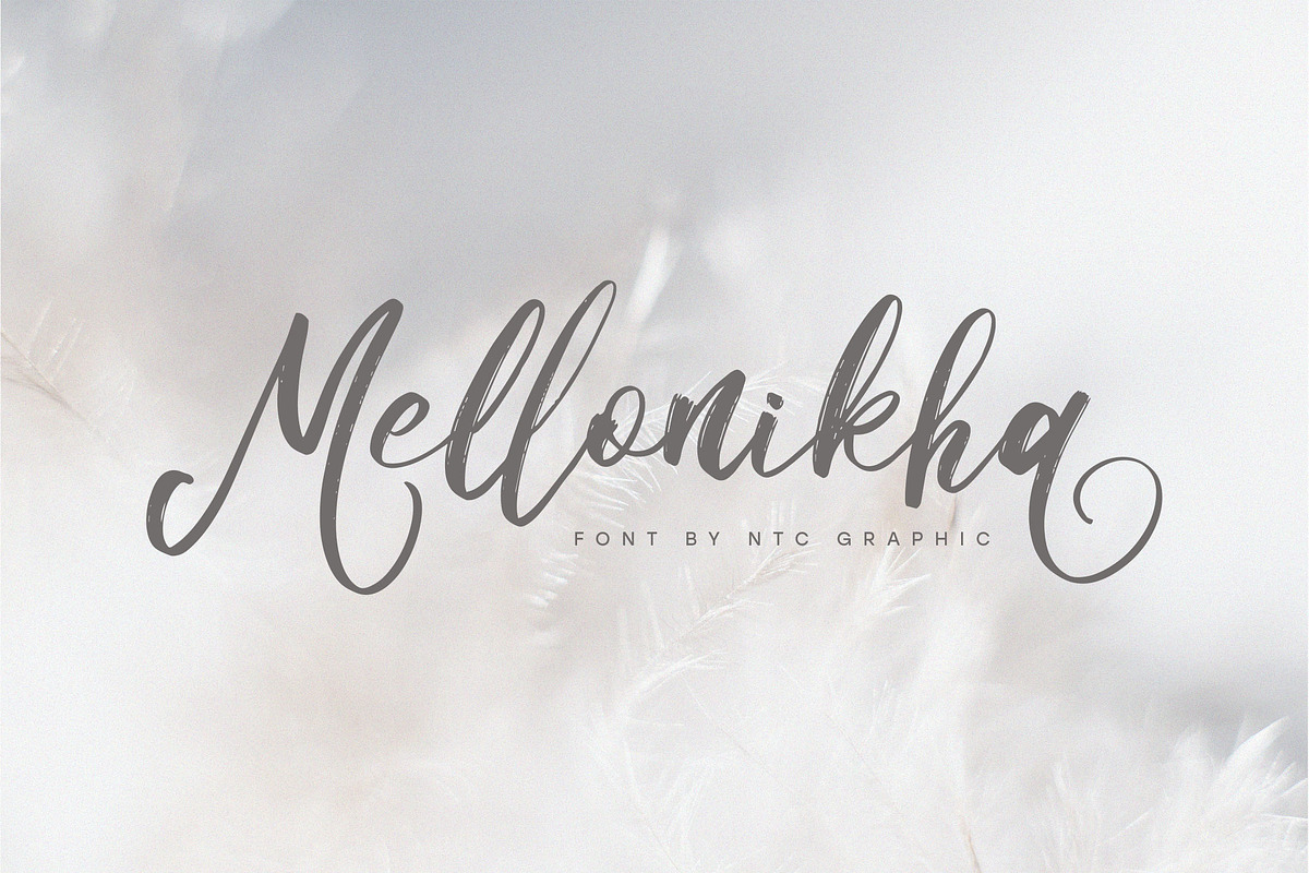 Mellonikha Brush Script Font, a Script Font by NTC Graphic (Photo 1 of 9)