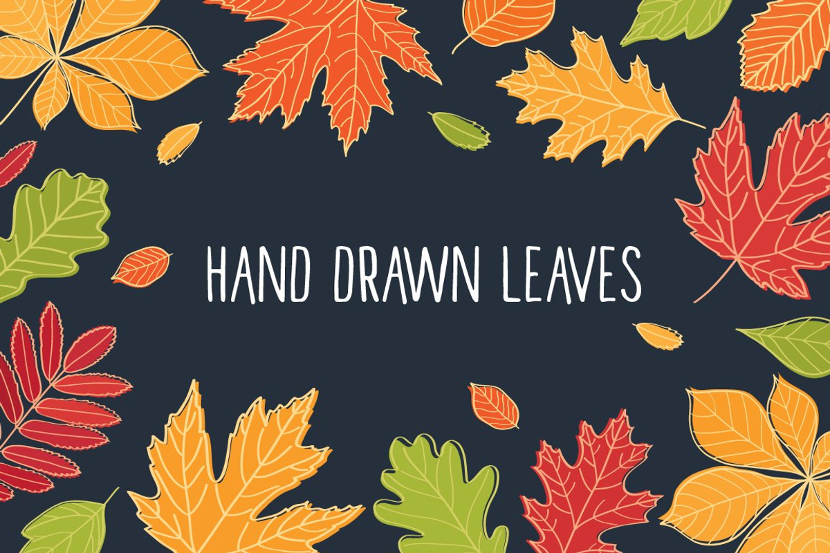 Hand drawn autumn leaves., an Education Illustration by Tkoko vectors & patterns (Photo 1 of 12)