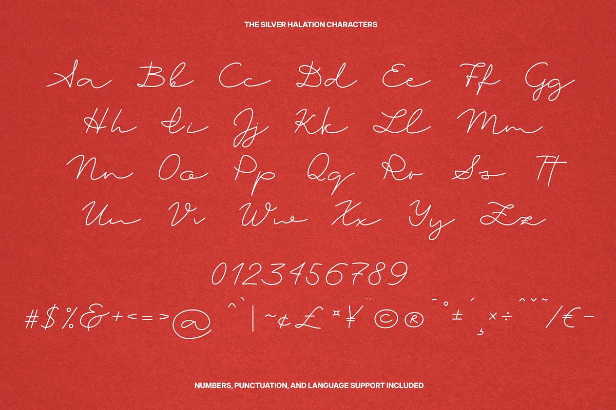 The Silver Halation Modern Script, a Script Font by Anastasiia VNSK (Photo 7 of 11)