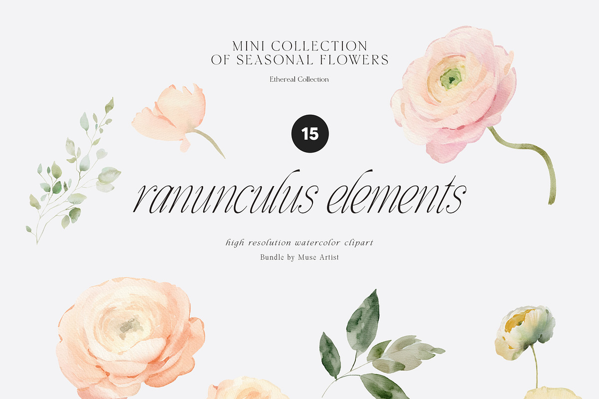 SPRING BOX Watercolor Bundle 400+, a Decorative Illustration by Muse Artist (Photo 96 of 99)