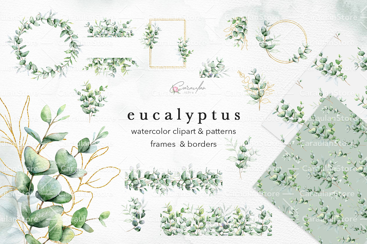 Eucalyptus Watercolor, an Object Illustration by CaraulanStore (Photo 1 of 19)