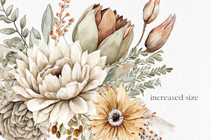 Beige Flowers Watercolor Clipart PNG