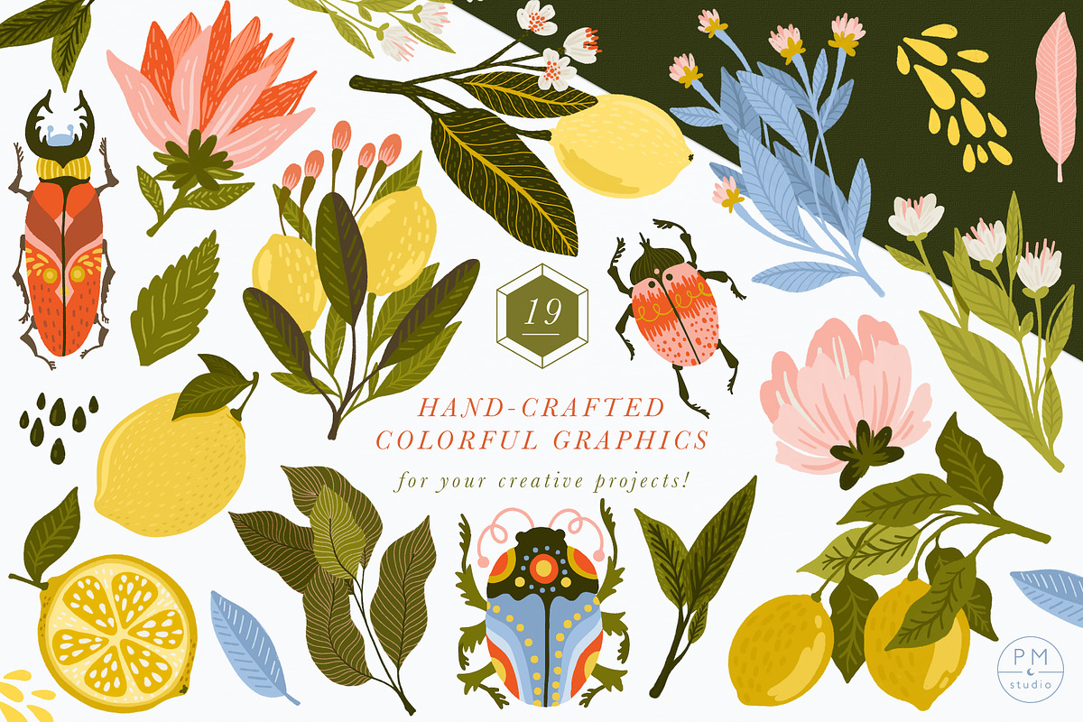 Lemon Blossom Collection, an Illustration by PetiteMarket (Photo 2 of 3)