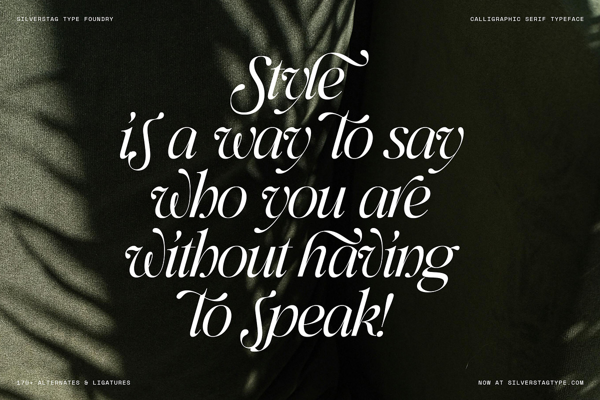 Netsera Calligraphic Serif Typeface, a Serif Font by SilverStag Type Foundry (Photo 17 of 30)