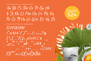 Tropical Splash Modern Handwritten, a Script Font by stylishtype.co (Thumbnail 19 of 20)