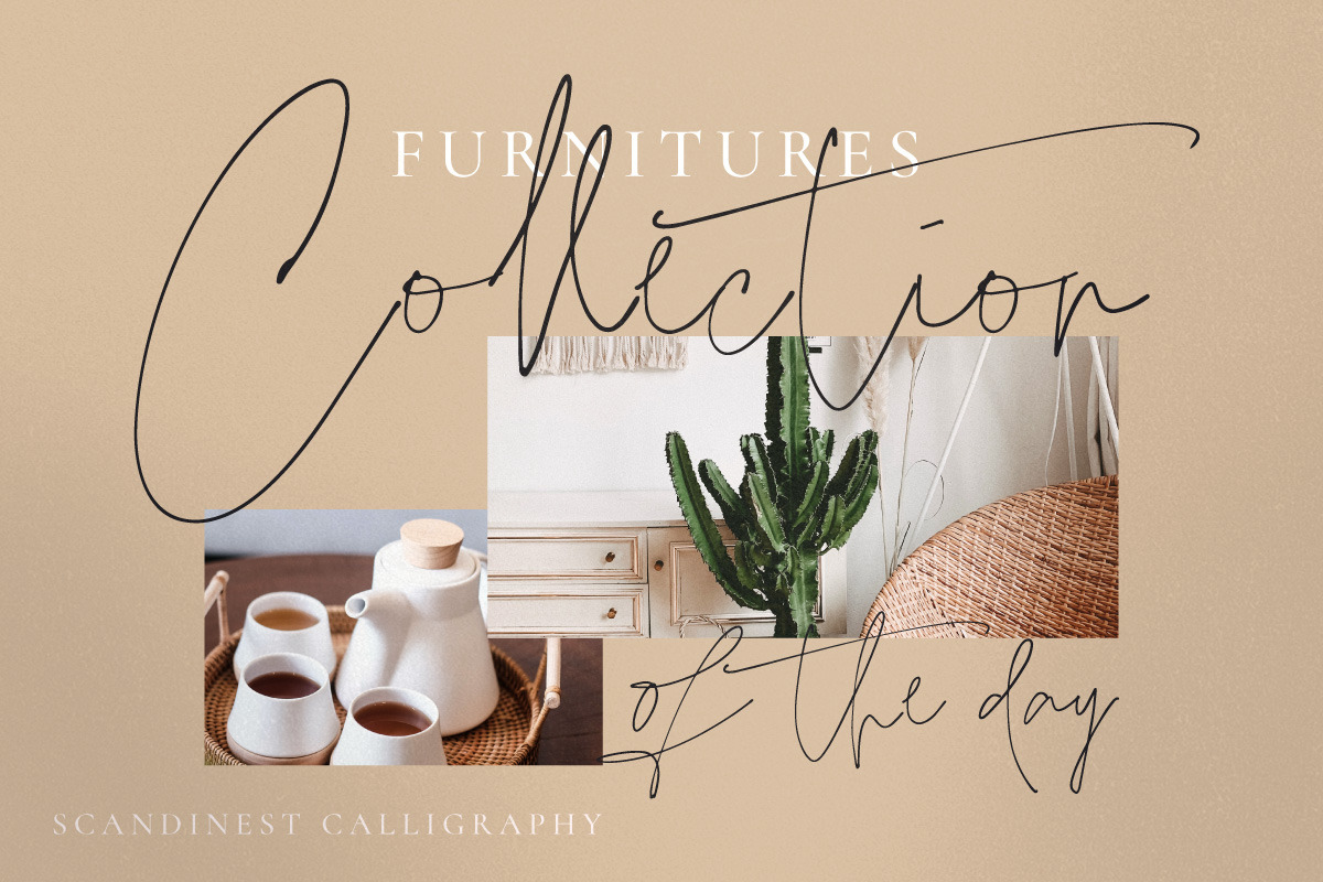 Scandinest - Signature With Ligature, a Script Font by Dirtytemp Studio (Photo 9 of 16)