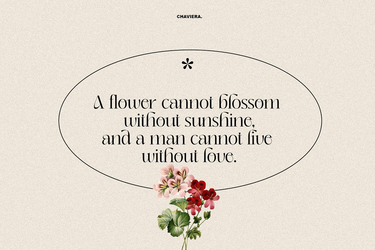 Chaviera, a Serif Font by INKSUN™ (Photo 4 of 13)