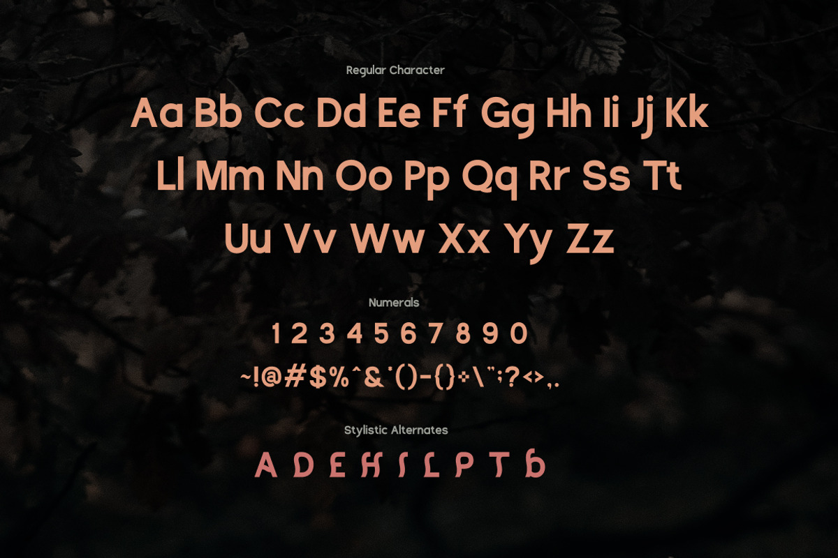 Tangeren Unique Bold Sans Serif Font, a Sans Serif Font by Vadovastd (Photo 2 of 7)