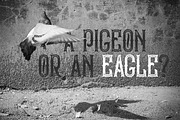 Bald Eagle Typeface, a Symbol Font by Gleb Guralnyk (Thumbnail 4 of 6)