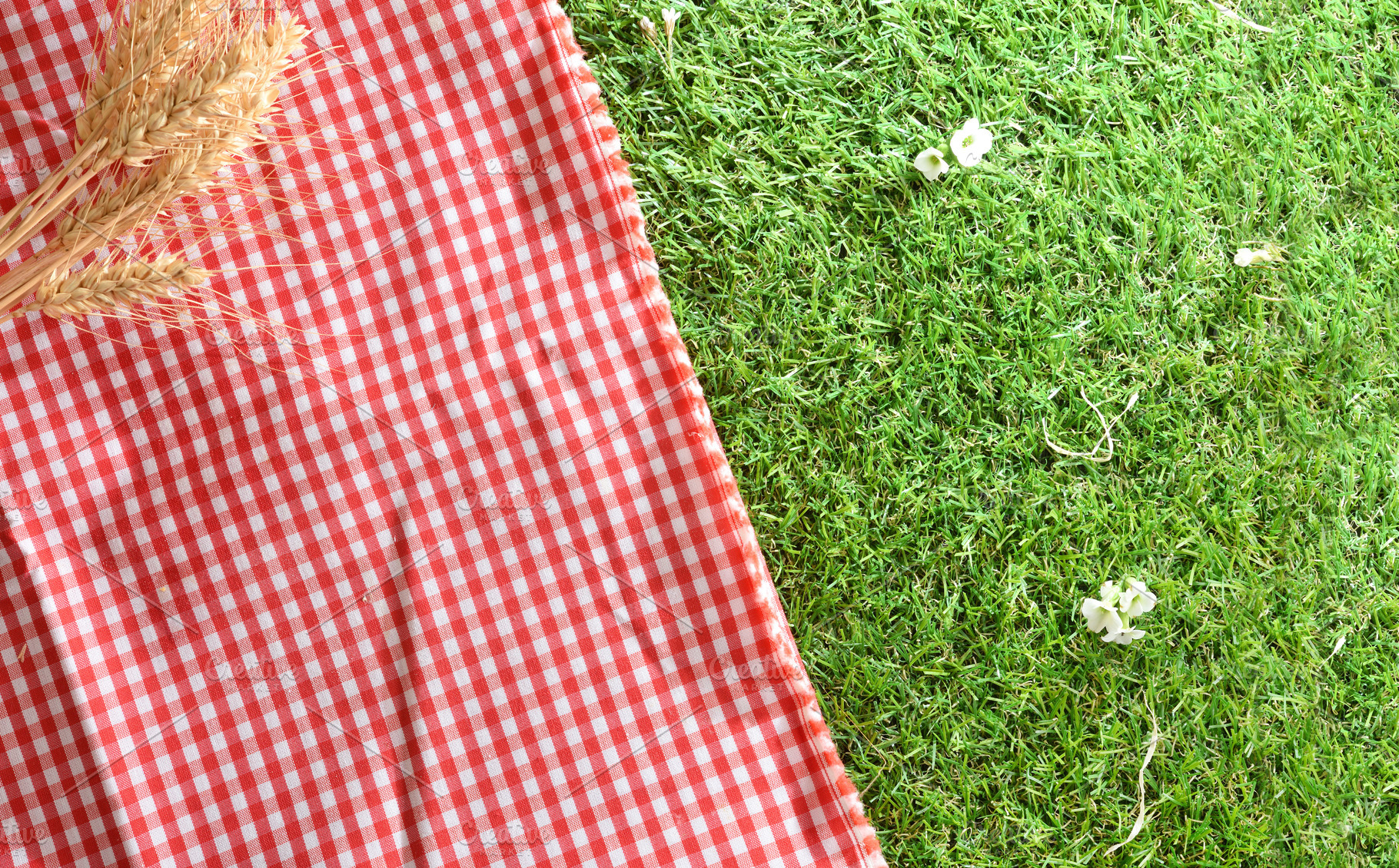 Red Checkered Blanket on Green Grass, a Holiday Photo by Davizro's Market