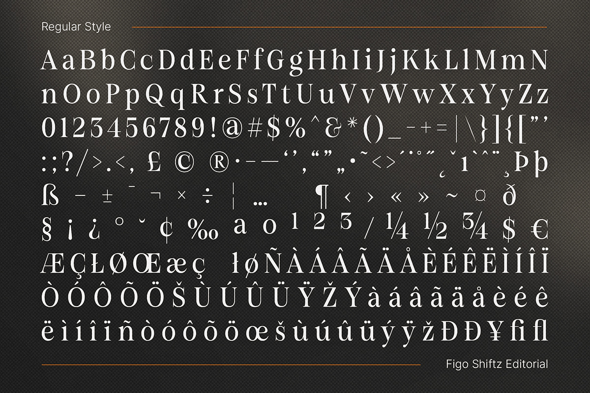 Figo Shiftz - Editorial Serif & Sans, a Serif Font by Propertype (Photo 6 of 26)