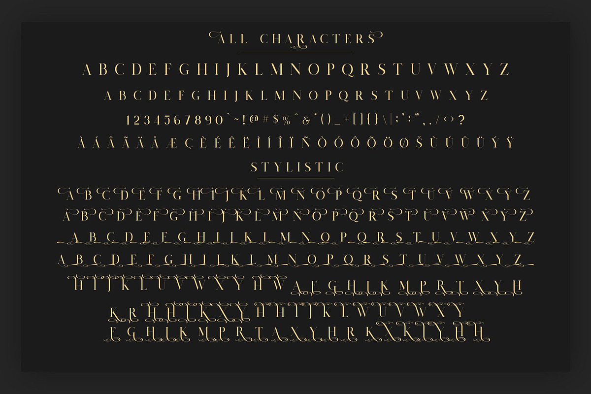 Salvalyn - Stylistic Serif Font preview 6
