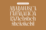 Rich Dashy Modern Elegant Serif, a Script Font by timelesstype.co (Thumbnail 18 of 20)