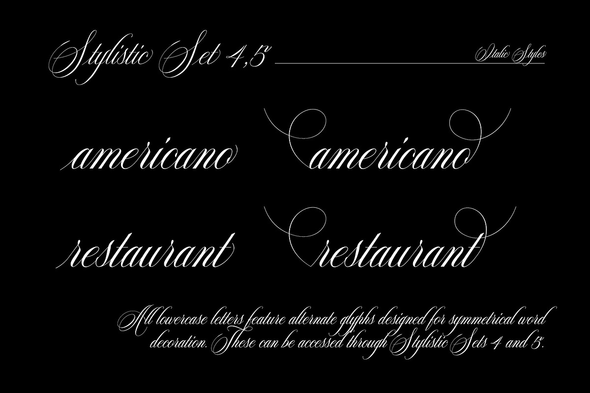 Reichamerina font family, a Serif Font by Ryul Davidson (Photo 24 of 27)