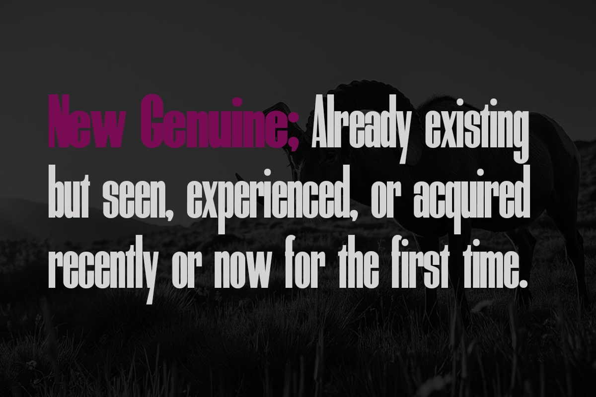 New Genuine, a Sans Serif Font by groens (Photo 4 of 6)