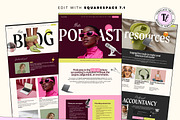 Chic Accountant Website Squarespace, a Squarespace Template by Template Twist Shop (Thumbnail 3 of 11)