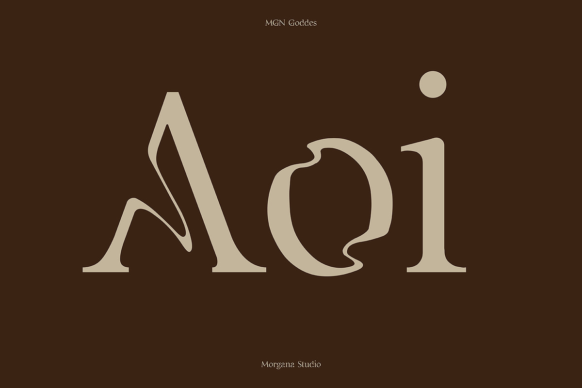 MGN Goddes, a Serif Font by Morgana Studio (Photo 6 of 6)