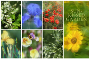 Blurry Flowers Abstract Backgrounds, a Background Graphic by Yuliya Derbisheva (Thumbnail 14 of 15)