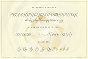 Rejoice Typeface, a Script Font by banks (Thumbnail 14 of 15)