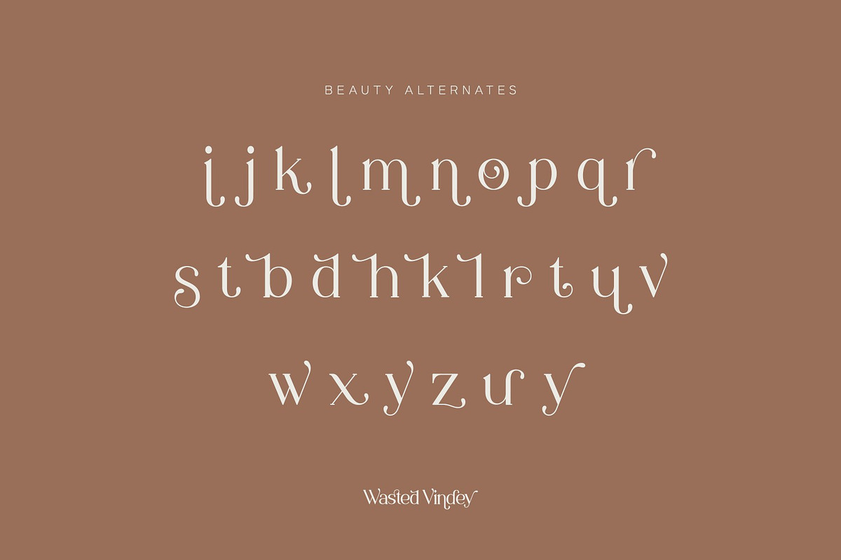 Wasted Vindey - Classy Serif Font, a Serif Font by Koplexs Studio (Photo 9 of 14)