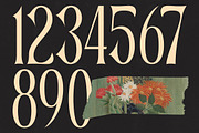 Garugis Modern Display Serif, a Serif Font by timelesstype.co (Thumbnail 10 of 20)